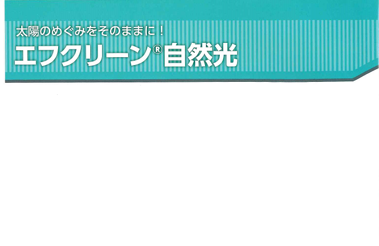 AGCグリーンテック　エフクリーン自然光