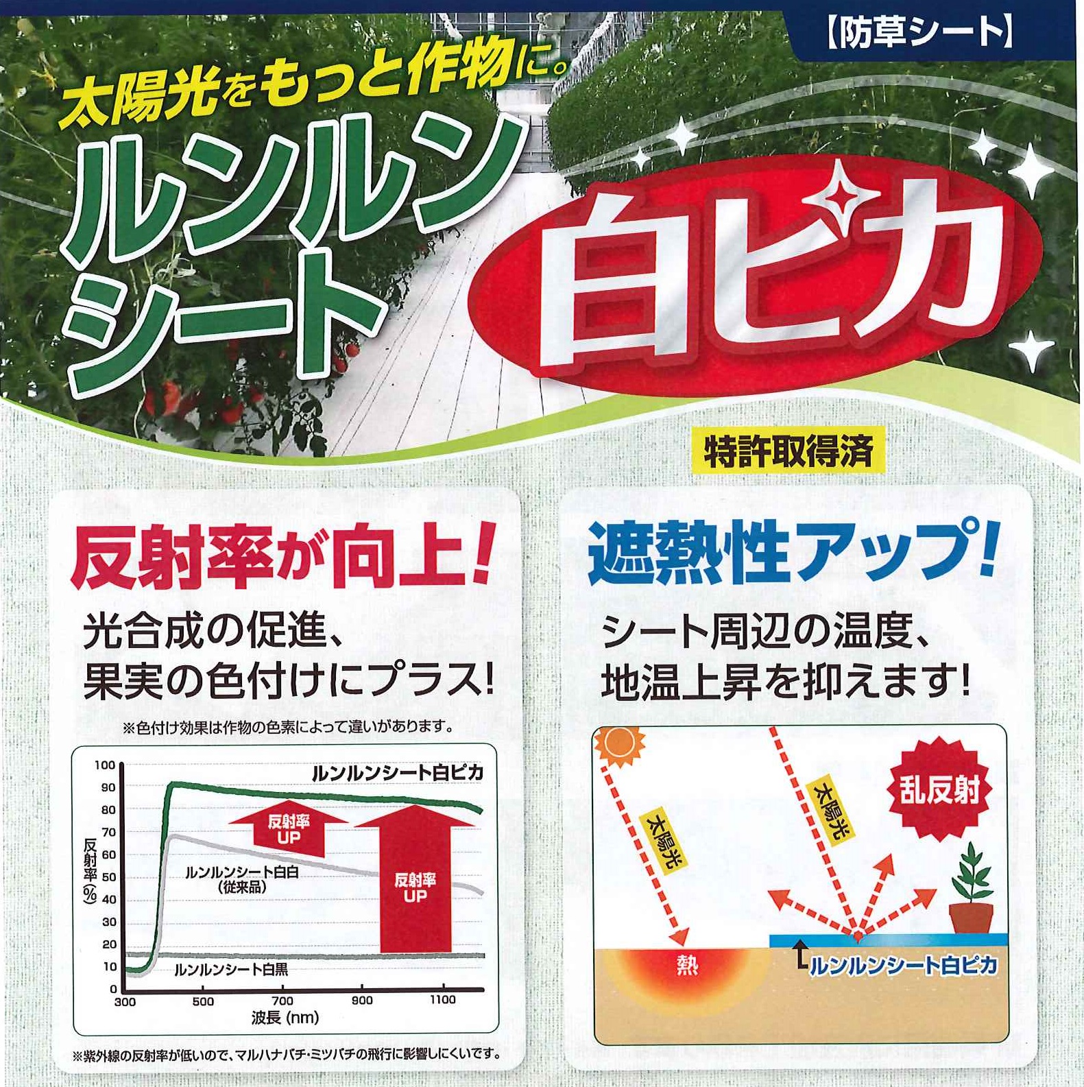 予約中！】 ルンルンシート 白ピカ 幅300cm×100ｍ 光合成促進 遮熱性 防草シート 小泉製麻 法人個人選択 