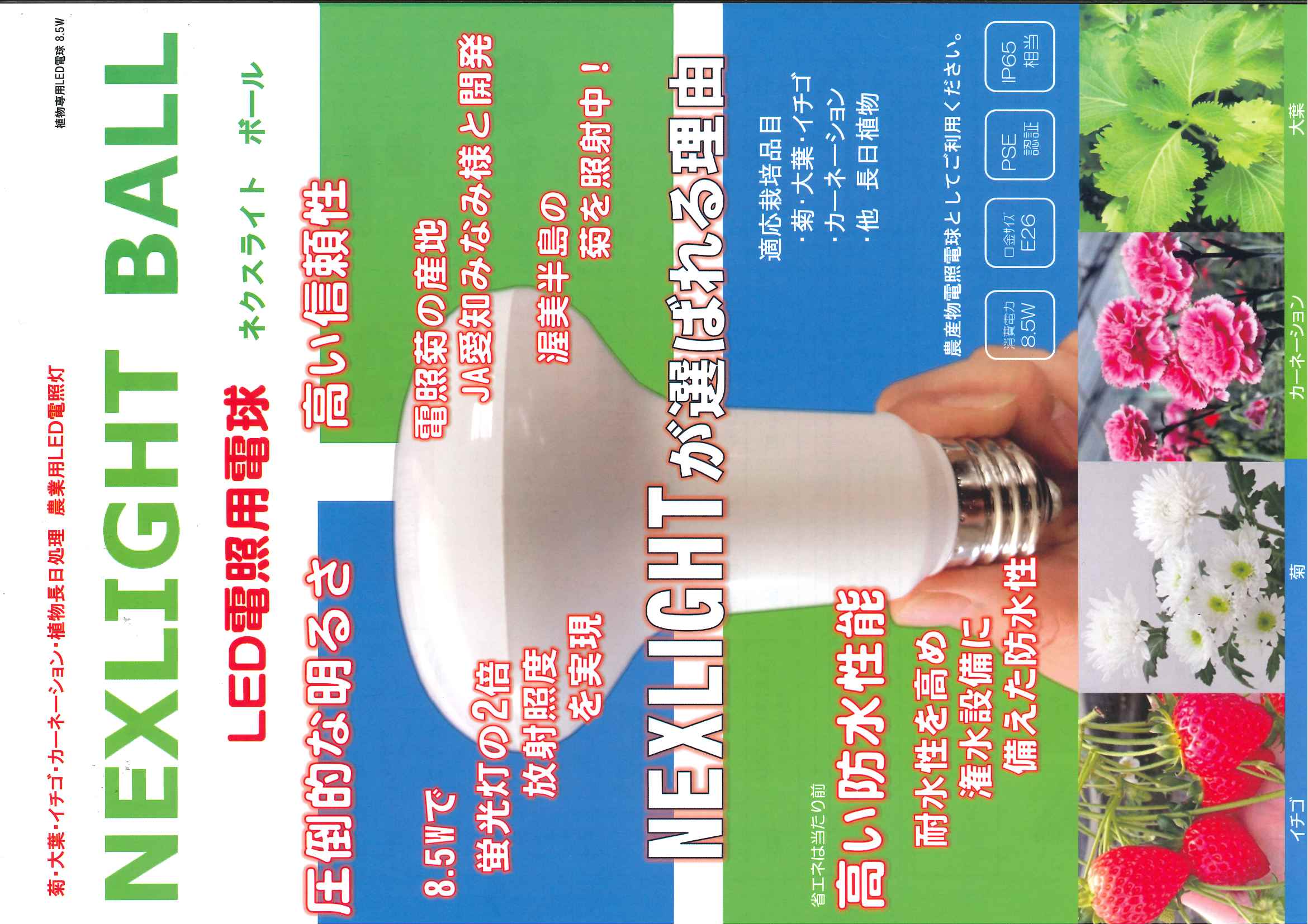 イチゴ・その他LED　【ネクスライト　ボール】　5個入（※多球数OK）（※必要球数お問い合わせください）